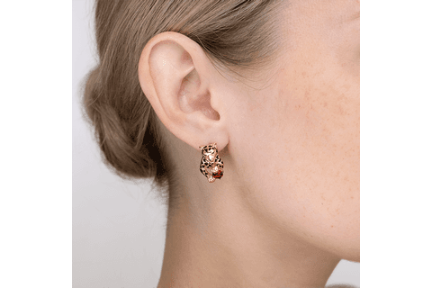 Cercei Aur 